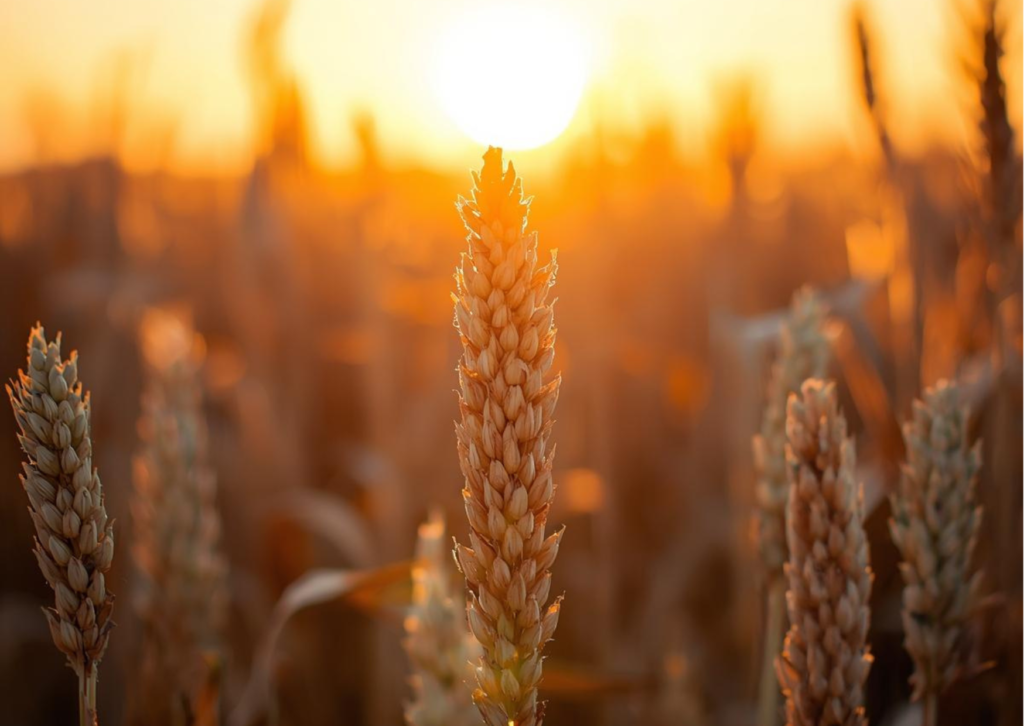 hostinger-ai-fade-up